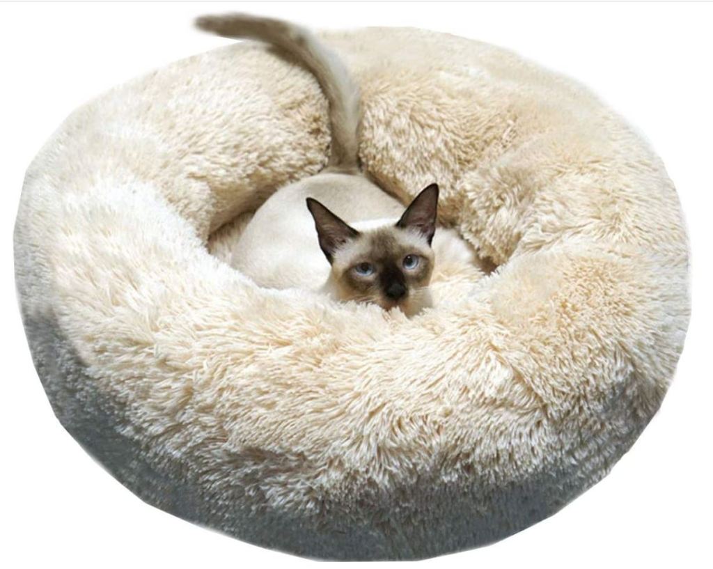 Poofy cat bed